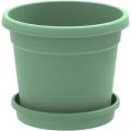 Flower Pot Round With Tray
