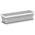 Planter Exotica With Tray
