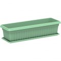 Planter Exotica With Tray